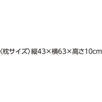 防ダニ抗菌防臭枕 干しヒモ付 アイボリー 43×63cm ケアファッション