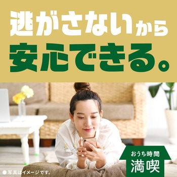 ゴキジェットプロ アース製薬