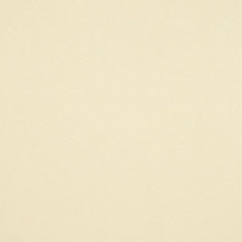 PRD-408 Pタイル Muji タジマ(田島ルーフィング) 70048204