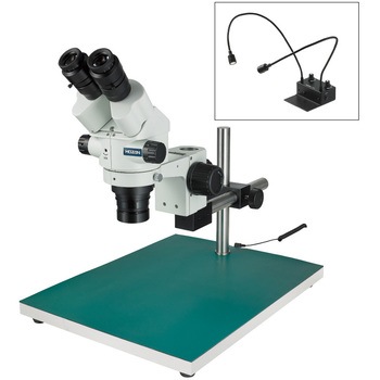 L-KIT618 ���̌����� �z�[�U�� 70067558