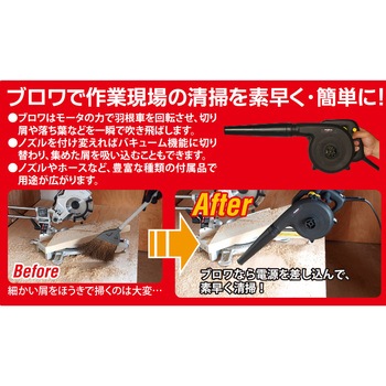 ブロワ パオック