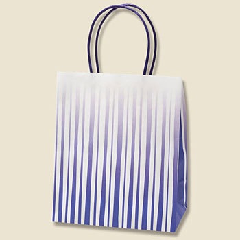 21�\12 ��񂰎��� HEIKO 70118405