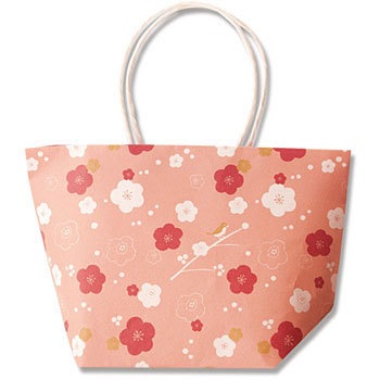 F9�\6 �v�`�o�b�O �M�` HEIKO 70118676