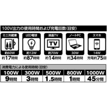 日動工業 パワーバンク1000 1000Wポータブル電源 LPE-R1000Z