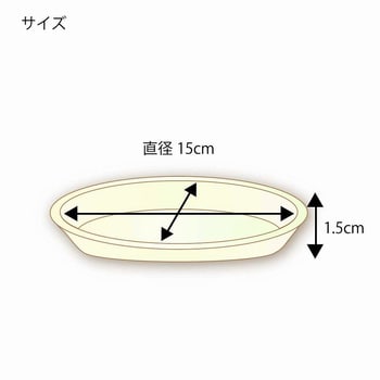 バガス深型プレート