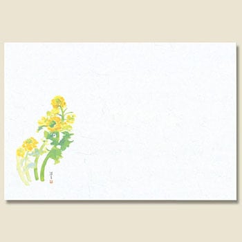 44 �؂̉� �a���e�[�u���}�b�g ���䎆�� 70127338