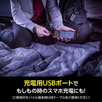 充電式メタルライト エナジャイザー