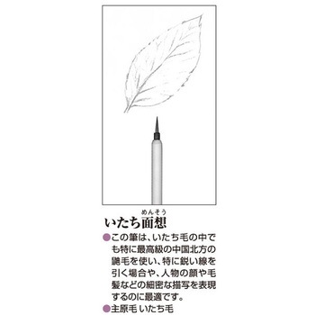 いたち面想 あかしや