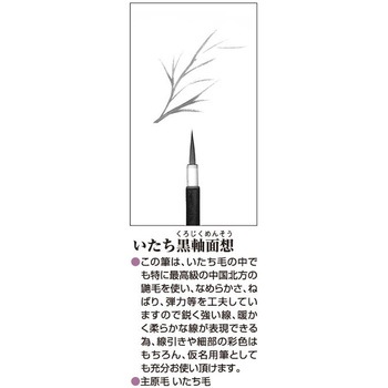 いたち黒軸面想 あかしや