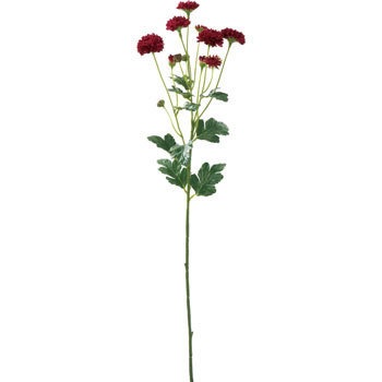 FA-6452 �X�v���[�}�� ���l�f�B�X�v���C�~���[�W�A�� 70164508