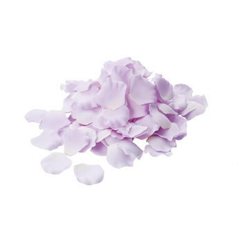 FA-6536 ���[�Y�y�^�� ���l�f�B�X�v���C�~���[�W�A�� 70164623