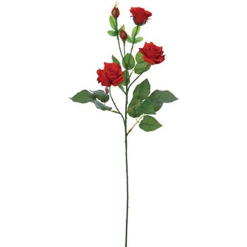 FA-6597 ���[�Y ���l�f�B�X�v���C�~���[�W�A�� 70165077