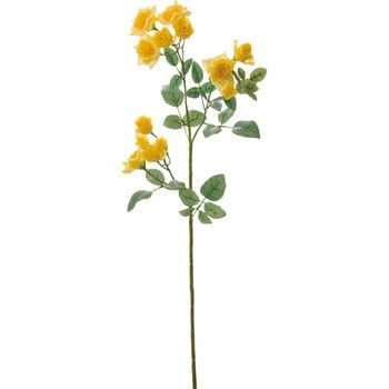 エメラルドローズスプレー 横浜ディスプレイミュージアム