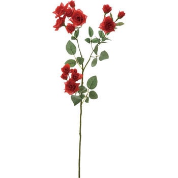 エメラルドローズスプレー 横浜ディスプレイミュージアム