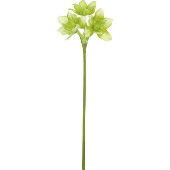 ユーチャリス 横浜ディスプレイミュージアム