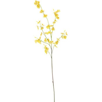 FA-6651 �I���V�W���[�� ���l�f�B�X�v���C�~���[�W�A�� 70165646