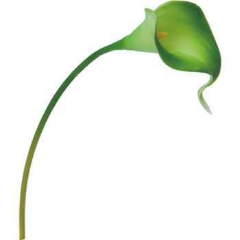 FA-6746 カラーリリーS 横浜ディスプレイミュージアム 70166504