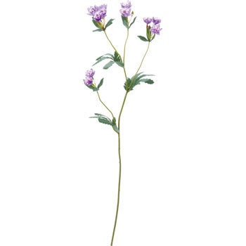 FA-6890 アストランティア 横浜ディスプレイミュージアム 70169234