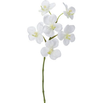 シングル【新品未開封】Rady希少♡ダマスクフラワーサマーケット　M00225 オーキッドショートスプレー 横浜ディスプレイミュージアム