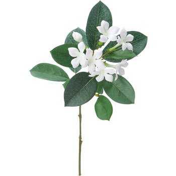 FA-6922 �W���X�~���V���[�g ���l�f�B�X�v���C�~���[�W�A�� 70170257