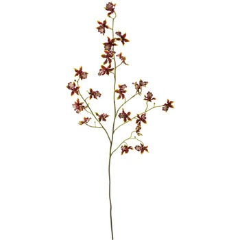 FA-6970 �i�W�F�_���V���O�I�[�L�b�h ���l�f�B�X�v���C�~���[�W�A�� 70171474