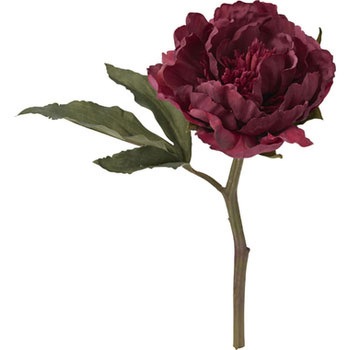 FA-7033 �A�[�g�s�I�j�[�V���[�g ���l�f�B�X�v���C�~���[�W�A�� 70173118