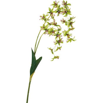 FA-7035 サテンロイヤルオーキッド 横浜ディスプレイミュージアム 70173154