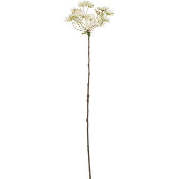 FA-7040 レースフラワー 横浜ディスプレイミュージアム 70173233