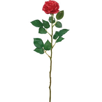 スターローズ - 横浜ディスプレイミュージアム