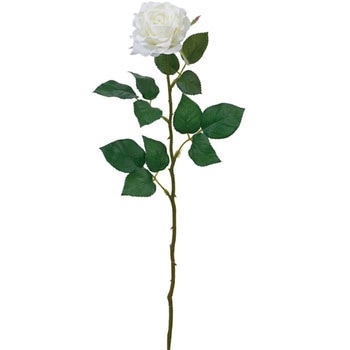 スターローズ - 横浜ディスプレイミュージアム