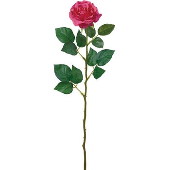 スターローズ - 横浜ディスプレイミュージアム