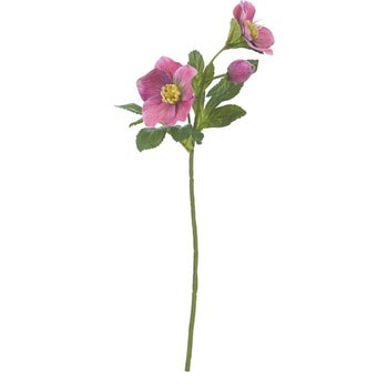 FA-7076 �t���b�V���N���X�}�X���[�Y ���l�f�B�X�v���C�~���[�W�A�� 70174877