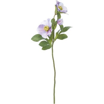 FA-7076 �t���b�V���N���X�}�X���[�Y ���l�f�B�X�v���C�~���[�W�A�� 70174886