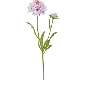 FA-7077 �t�����W�X�J�r�I�T ���l�f�B�X�v���C�~���[�W�A�� 70174904