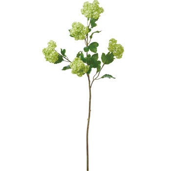 FA-7082 �X�m�[�{�[���u�����` ���l�f�B�X�v���C�~���[�W�A�� 70175062