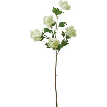 FA-7082 �X�m�[�{�[���u�����` ���l�f�B�X�v���C�~���[�W�A�� 70175078