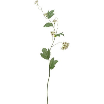 FA-7094 �r�o�[�i�� ���l�f�B�X�v���C�~���[�W�A�� 70175552