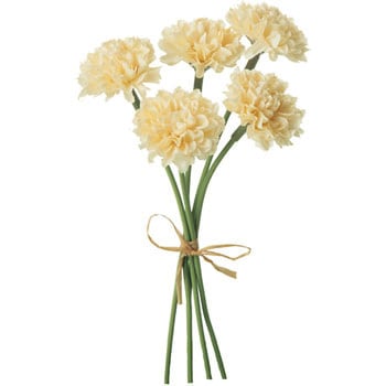 FB-2346 �~�j�s���|���}���s�b�N ���l�f�B�X�v���C�~���[�W�A�� 70176478