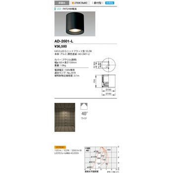 AD-2601-L シーリングライト・軒下照明(屋外用) 1個 山田照明 【通販