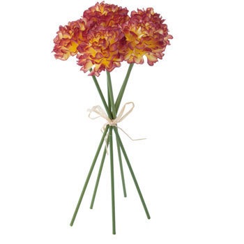 FB-2401 ~js|}sbN lfBXvC~[WA 70177257