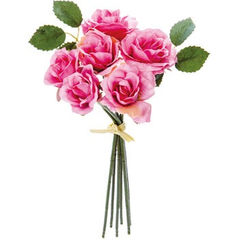 FB-2420 �~�j���[�Y�o���h�� ���l�f�B�X�v���C�~���[�W�A�� 70177808