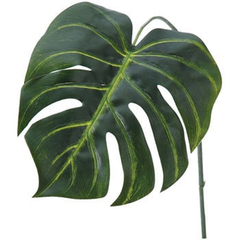 FG-4441 �����X�e�����[�t ���l�f�B�X�v���C�~���[�W�A�� 70181143