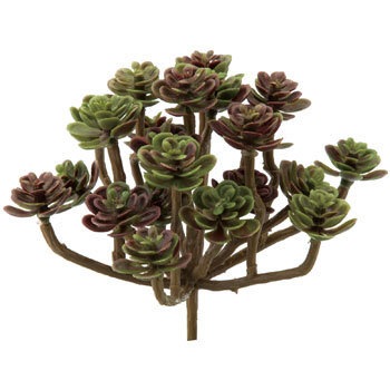 FG-4502 �~�j�A�I�G�j�E���s�b�N ���l�f�B�X�v���C�~���[�W�A�� 70181868