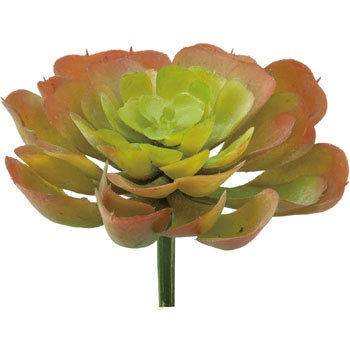 FG-4503 �G�P�x���A�s�b�N ���l�f�B�X�v���C�~���[�W�A�� 70181877