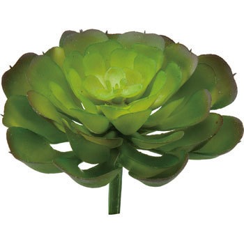 FG-4503 �G�P�x���A�s�b�N ���l�f�B�X�v���C�~���[�W�A�� 70181886