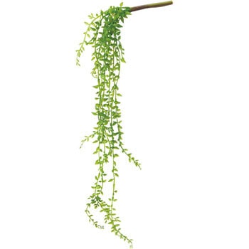 FG-4506 �O���[���l�b�N���X�o�C�� ���l�f�B�X�v���C�~���[�W�A�� 70181938