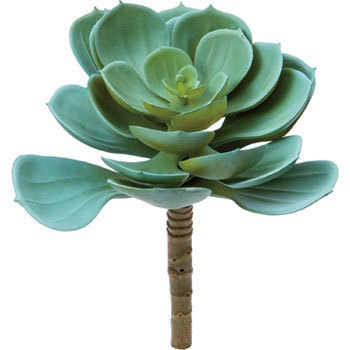 FG-4589 �G�P�x���A�s�b�N ���l�f�B�X�v���C�~���[�W�A�� 70182945