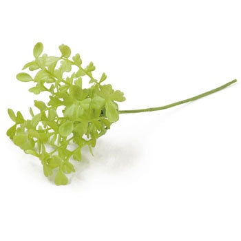 FG-4615 �{�b�N�X�E�b�h�s�b�N ���l�f�B�X�v���C�~���[�W�A�� 70183252