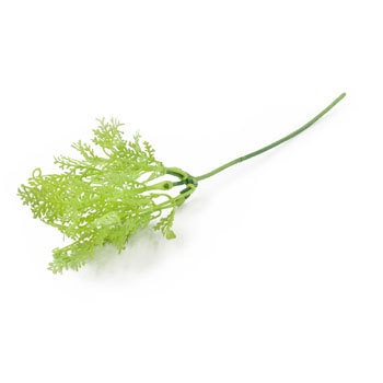 FG-4618 �O���[���W���W���[�s�b�N ���l�f�B�X�v���C�~���[�W�A�� 70183322