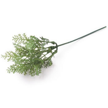 FG-4618 �O���[���W���W���[�s�b�N ���l�f�B�X�v���C�~���[�W�A�� 70183347